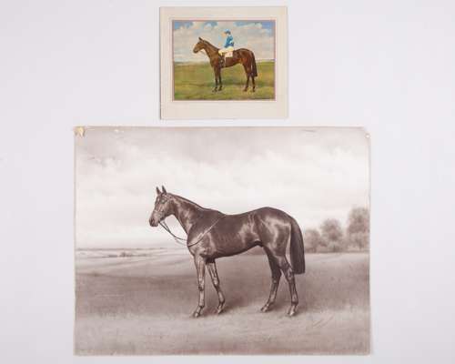 Richard Anscomb (Newmarket photographer) Zucchero with Lester Piggott up