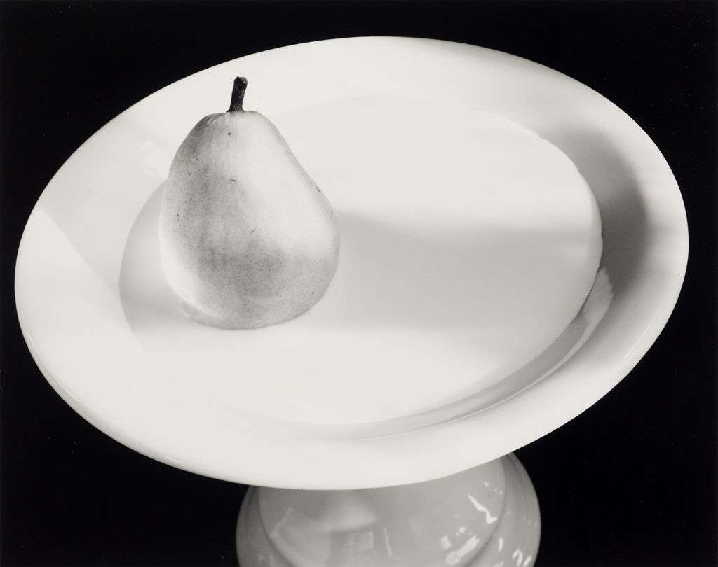 Olivia Parker Still Life Photography Olivia Parker Still Life Photography
