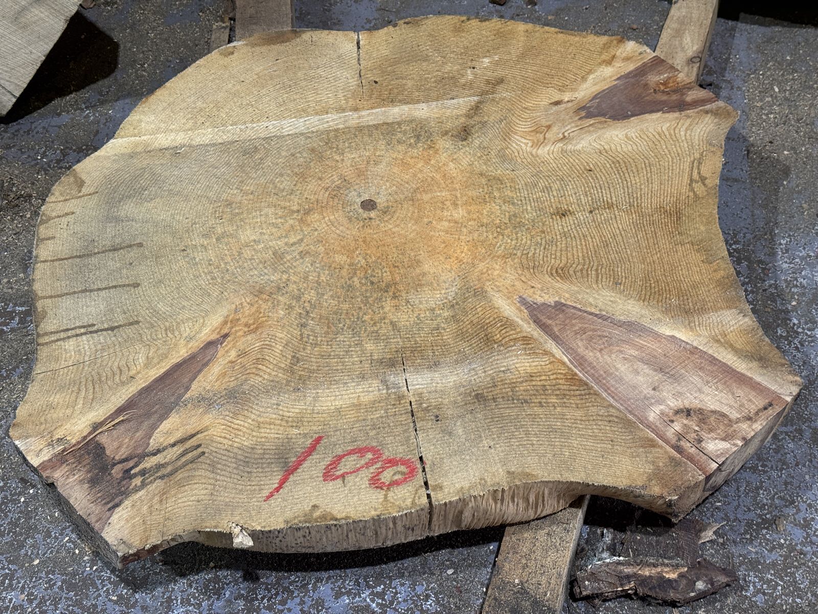 Live Edge Timber Slabs to include Sapele, Spalted & Pippy, Pippy English, English Oak, English Walnut Coin / Cookie, Yew, Sycamore & more on behalf of Capricorn Eco Timber