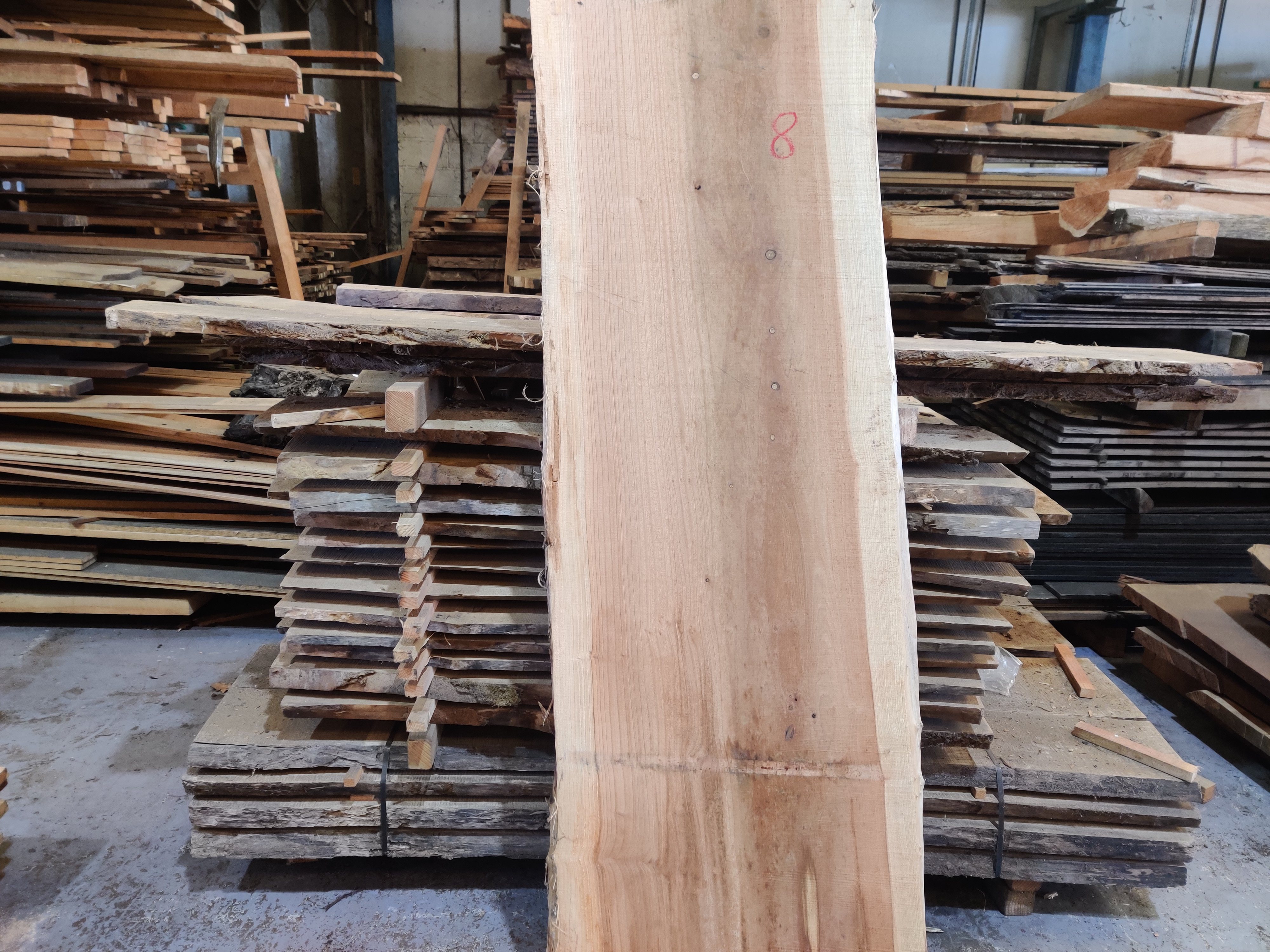 Live Edge Timber Slabs to include English Black Walnut, California Red, English Yew, English Oak, Old Black Fenland Bog Oak & more on behalf of Capricorn Eco Timber