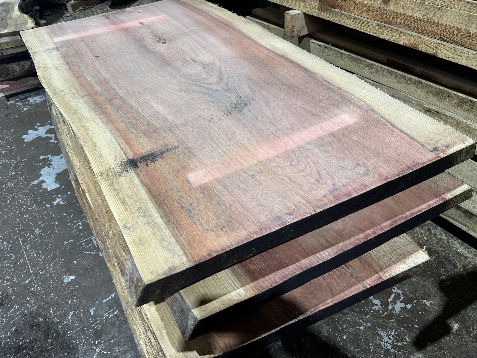 Live Edge Timber Slabs to include Californian Redwood, Black Walnut, Monkey Puzzle & more on behalf of Capricorn Eco Timber
