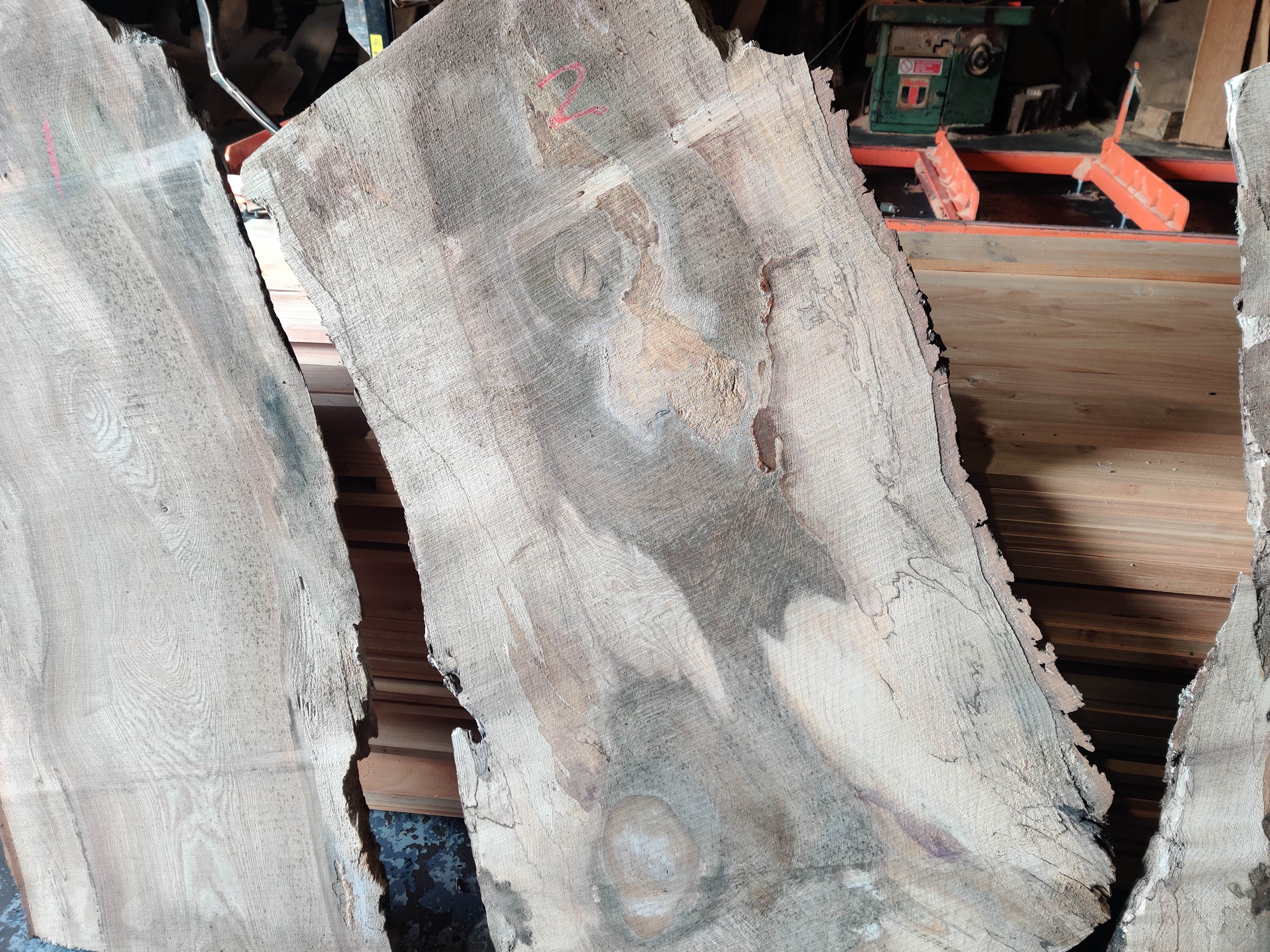 Live Edge Timber Slabs to include Ash, California Red, Monkey Puzzle, Beach, Yew, British Red Cedar, Ancient Black Oak, Air Dried English Oak, Walnut & more on behalf of Capricorn Eco Timber